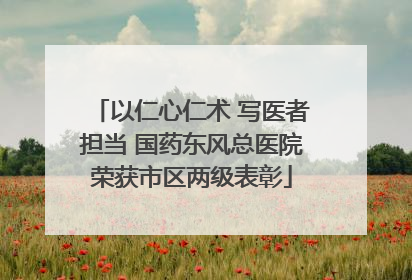 以仁心仁术 写医者担当 国药东风总医院荣获市区两级表彰